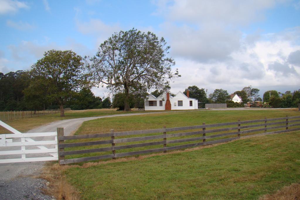 Buttons Cottage Under The Milky Way Nietta Exterior foto